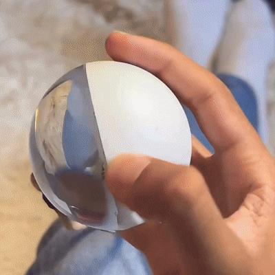 Memory Capsul, Custom Video 3D Crystal Sphere, Gift for Couple & Pet Lover